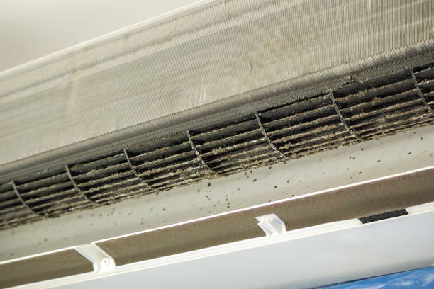 Best HVAC Air Duct Cleaning  in Lake Mary, FL