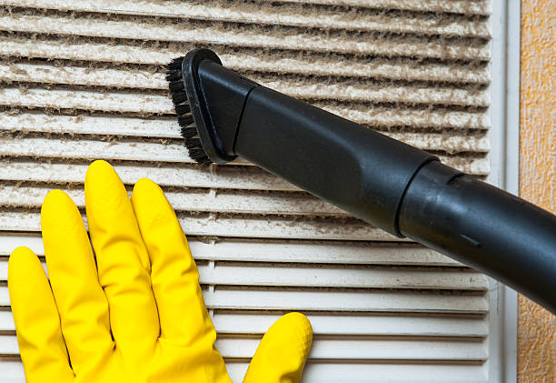 Best HVAC Maintenance and Cleaning  in Lake Mary, FL